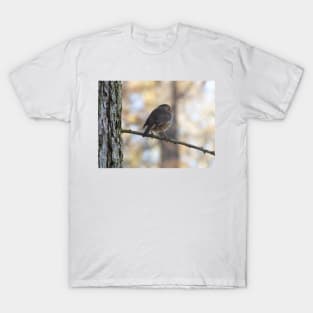 Robin Christmas Card T-Shirt